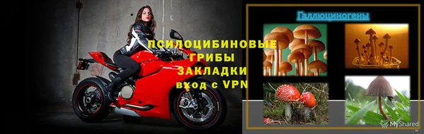 MESCALINE Горно-Алтайск