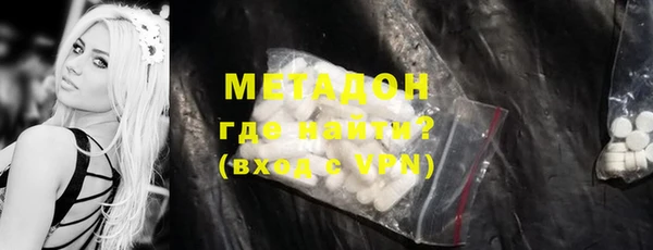 гидра Вязьма