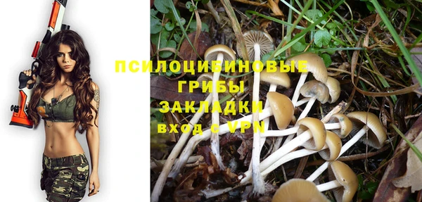 гидра Вязьма