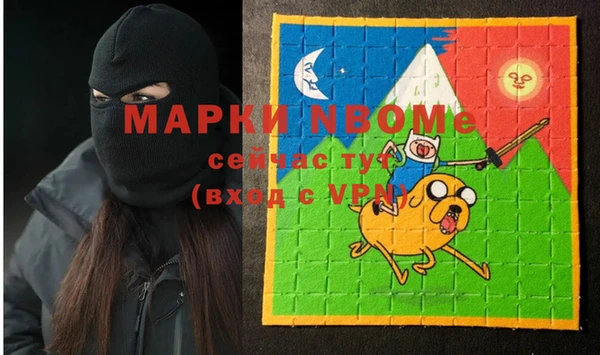 гидра Вязьма