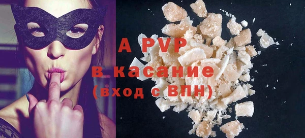 гидра Вязьма