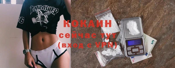 гидра Вязьма