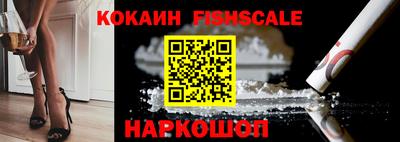 мдпв Бийск
