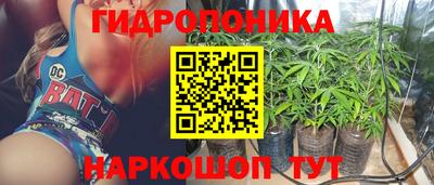 мдпв Бийск