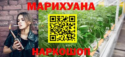 мдпв Бийск