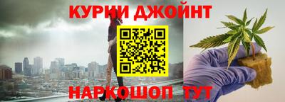 мдпв Бийск