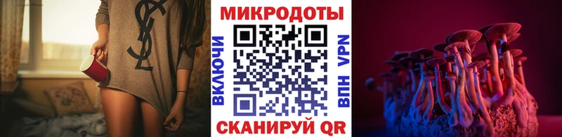 Галлюциногенные грибы Psilocybine cubensis  Коломна 