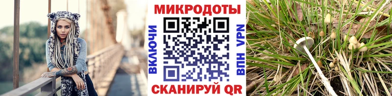 Псилоцибиновые грибы ЛСД Коломна