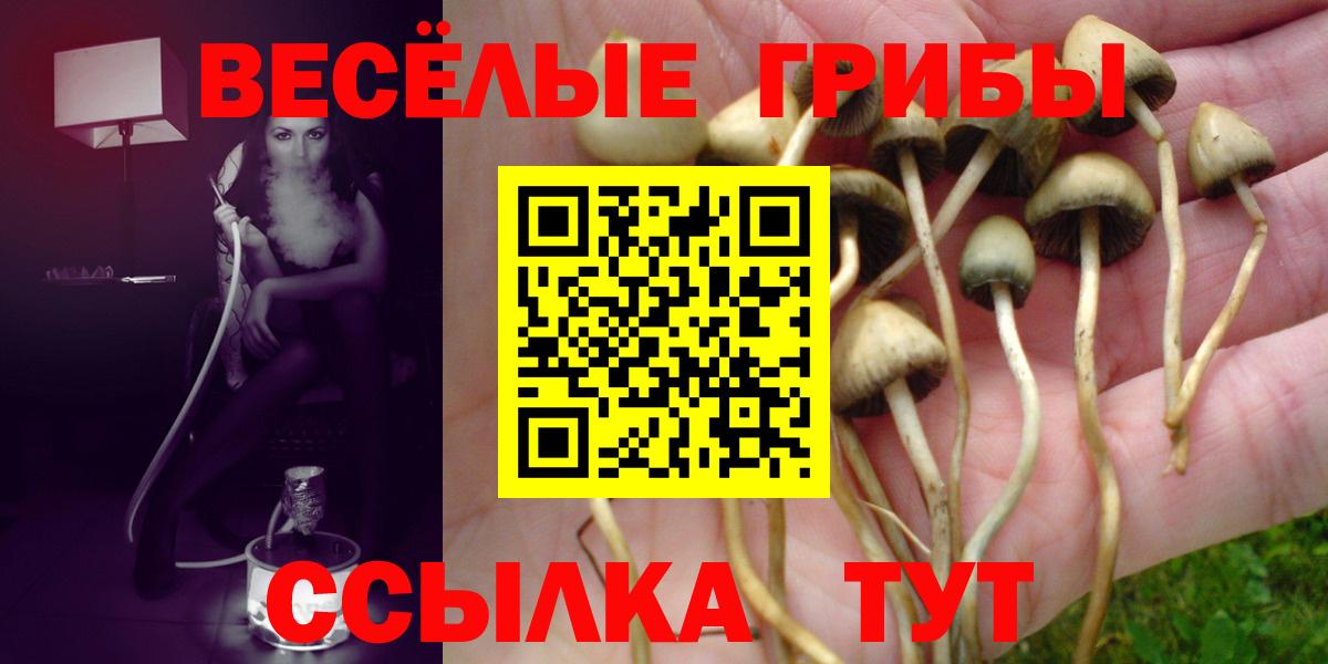 Галлюциногенные грибы Magic Shrooms  даркнет сайт  Коломна  Вход с VPN 